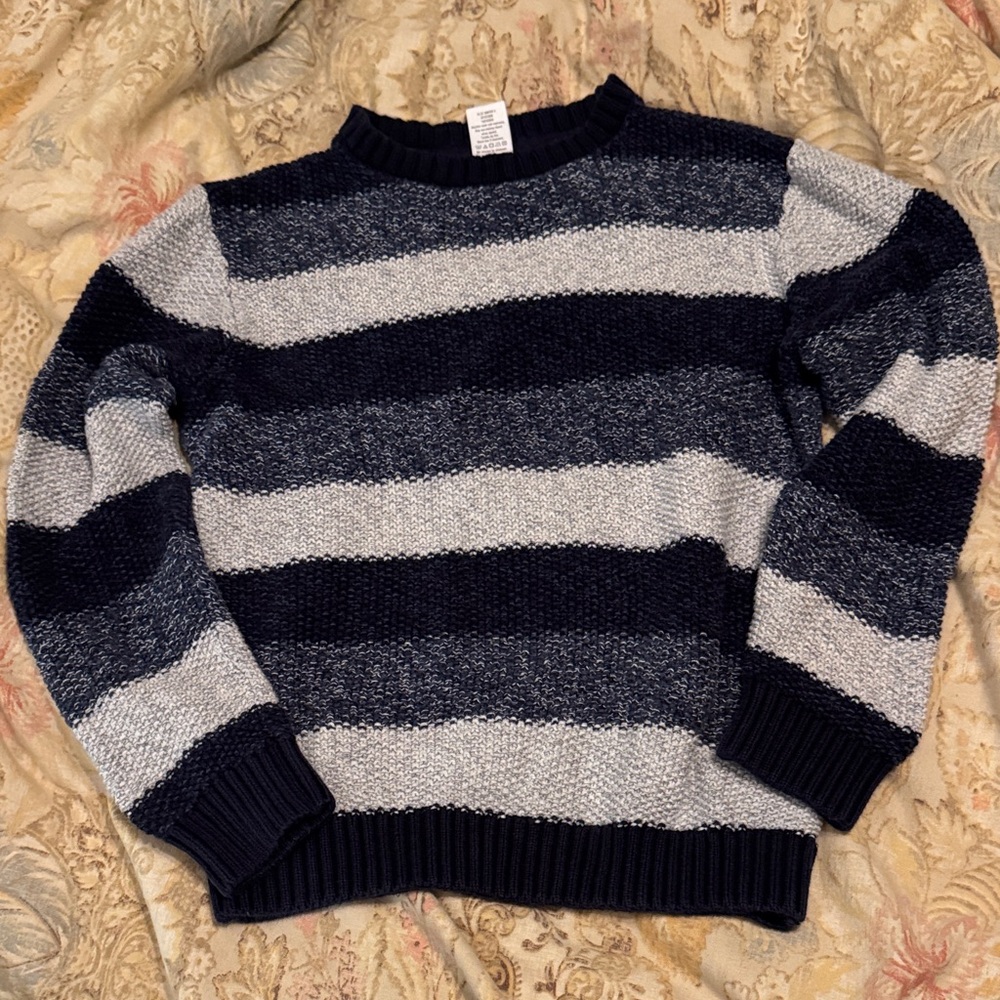 Gymboree Blue and White Knit Sweater
